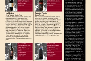I Quaderni di Winenews - N. 29