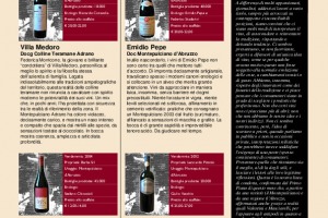 I Quaderni di Winenews - N. 30