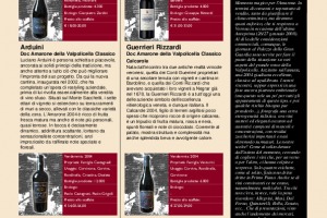 I Quaderni di Winenews - N. 31