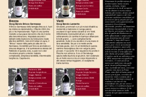 I Quaderni di Winenews - N. 38