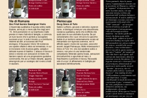 I quaderni di WineNews - N. 3