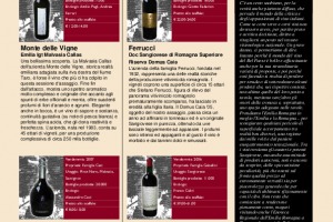 I Quaderni di Winenews - N. 40