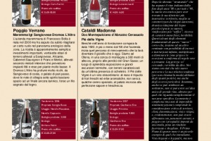 I Quaderni di Winenews - N. 41