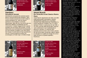 I Quaderni di Winenews - N. 45