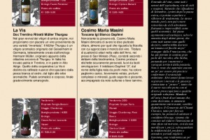 I Quaderni di Winenews - N. 47