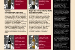 I Quaderni di Winenews - N. 59