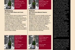 I Quaderni di Winenews - N. 61