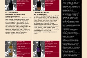 I Quaderni di Winenews - N. 62
