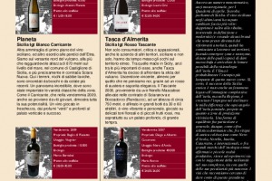 I Quaderni di Winenews - N. 65