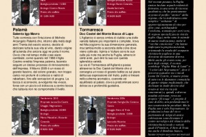 I Quaderni di Winenews - N. 66