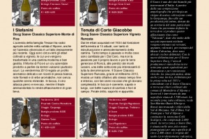 I Quaderni di Winenews - N. 77