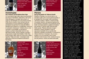 I Quaderni di Winenews - N. 79
