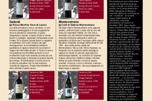 I Quaderni di WineNews - N. 7