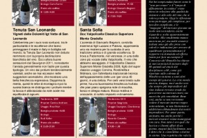 I Quaderni di Winenews - N. 80