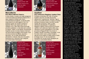 I Quaderni di Winenews - N. 93