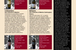 I Quaderni di Winenews - N. 94