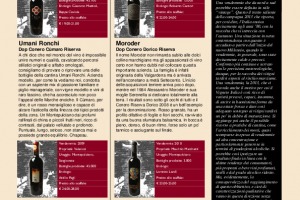 I Quaderni di Winenews - N. 95