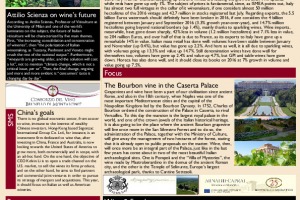 Italian Weekly Wine News N. 288