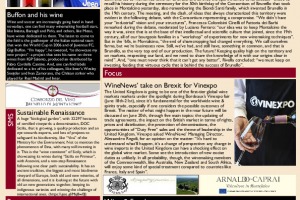 Italian Weekly Wine News N. 310