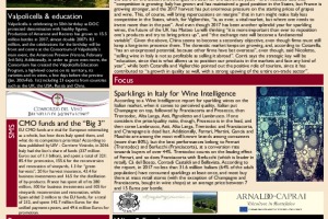 Italian Weekly Wine News N. 349