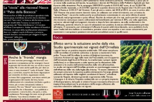 La Prima di WineNews - N. 181