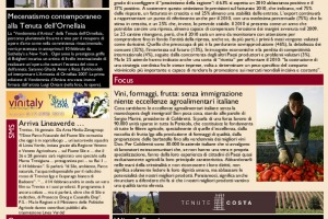La Prima di WineNews - N. 266