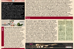 La Prima di WineNews - N. 301