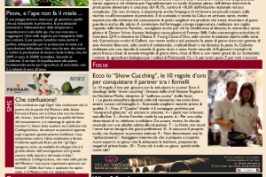 La Prima di WineNews - N. 346