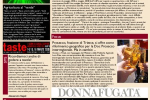 La Prima di WineNews - N. 35