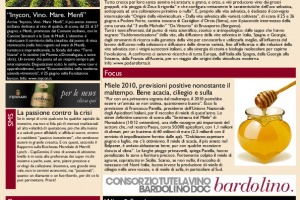 La Prima di WineNews - N. 377