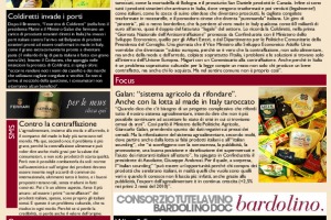 La Prima di WineNews - N. 386