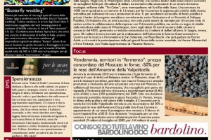 La Prima di WineNews - N. 409