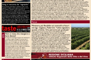 La Prima di WineNews - N. 41