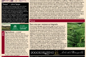 La Prima di WineNews - N. 569