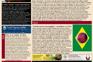 La Prima di WineNews - N. 811