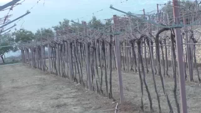 video_anteprimaamarone_2018-246971556