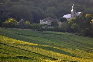 Dom P&eacute;rignon apre le porte dell&rsquo;abbazia di Hautvillers per la prima volta quest&rsquo;anno ad una serie di degustazioni. Il costo del biglietto &egrave; 600 euro ma sapr&agrave; possibile assaggiare millesimi e cuv&eacute;e che costano almeno il doppio