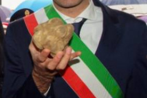 DISFIDA DEL TARTUFO ALBA-ACQUALAGNA: AI FORNELLI I SINDACI DELLE “CULLE” DEL BIANCO (12 NOVEMBRE). OGGI IL BIANCO DI SAN MINIATO È ALL’INCANTO PER BENEFICENZA, ALBA SI PREPARA ALL’ASTA MONDIALE (13 NOVENBRE). PREZZI? 3.000 EURO/KG PER I PIÙ PREGIATI