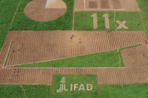 I piccoli agricoltori africani lanciano un messaggio ai leader mondiali all’Onu a New York, scrivendolo direttamente sulla terra: un gigantesco “Field Report” con tanto di grafici e dati, per spiegare l’importanza degli investimenti a lungo termine