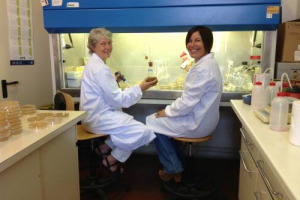 I microrganismi del vino che dal vigneto, parte integrante del terroir, alla tavola, ne influenzano la qualit&agrave;, protagonisti a Expo: Padiglione Italia racconta l&rsquo;esperienza del &ldquo;Gruppo di Microbiologia del Vino&rdquo; italiano tra 18 Universit&agrave; (21 luglio)