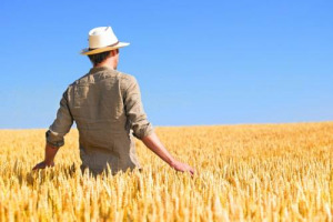 Diventare giovani agricoltori, Ismea apre il bando 2018 per il Primo insediamento in agricoltura: 70 milioni di euro suddivisi tra Centro-Nord e Sud e Isole per i giovani tra i 18 e 41 anni con progetti di sostenibilità economica e ambientale