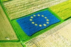 “Dalla lira all’euro, una rivoluzione per l’agricoltura: volatilità, land grabbing, convergenza dei prezzi su scala mondiale”: 15 anni di moneta unica e il settore analizzati dall’esperto Ermanno Comegna per Fieragricola (nel 2018 edizione n. 113)