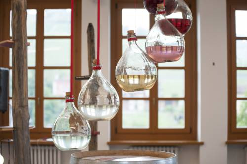 Installazioni artistiche, strumenti multimediali ed interattivi saranno al centro dell’Agrilab di Collisioni