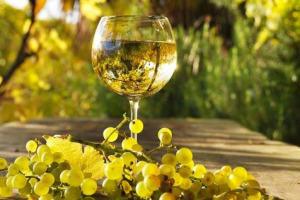 Conosciuta gi&agrave; nel 400 d.C, l&rsquo;Albana di Romagna festeggia i 30 anni di Docg (primo vino bianco d&rsquo;Italia ad ottenerla, nel 1987) con &ldquo;Buon Compleanno Albana&rdquo;, il 6 maggio a Riolo Terme. Oggi prodotta nella province di Bologna, Forl&igrave;-Cesena e Ravenna