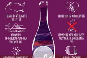 Vendere il proprio vino solo sul sito dell&rsquo;azienda, dichiarando il valore di ogni voce che va a formare il prezzo finale della bottiglia: l&rsquo;idea della cantina Alit Wines, in Oregon, all&rsquo;insegna della trasparenza totale verso il consumatore