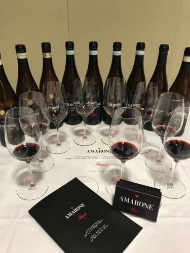 Le annate della verticale con protagonista il grande Amarone di Allegrini