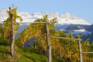 S&Uuml;DTIROL: O DELL&rsquo;ESSENZA DELL&rsquo;ALTO ADIGE. LA PRIMA E UNICA GAMMA DI VINI CHE IN ITALIA HA COME BRAND LA REGIONE DI PROVENIENZA. ECCO IL &ldquo;PROGETTO S&Uuml;DTIROL&rdquo; CHE METTE INSIEME CONSORZIO VITICOLTORI ALTO ADIGE, REGIONE E AZIENDE PRODUTTRICI