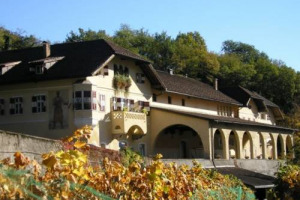 COSA FARE IN VIGNA SE PERDURANO GLI INNALZAMENTI TERMICI DEGLI ULTIMI ANNI? LE RISPOSTE DI MARIO FREGONI, ORDINARIO DI VITICOLTURA UNIVERSIT&Agrave; DI PIACENZA, E BARBARA RAIFER (CENTRO SPERIMENTALE LAIMBURG) &hellip; FOCUS: L&rsquo;ECONOMIA VITI-VINICOLA ALTOATESINA