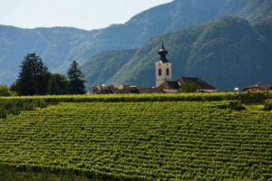 Terra di grandi vini prodotti da vigneti all’ombra delle Dolomiti, e di una grande gastronomia, l’Alto Adige è l’unica italiana tra le “Best Wine Travel Destination 2016” della celebre rivista Usa “Wine Enthusiast”
