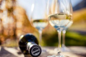 Tra grandi bianchi appena messi in bottiglia e non ancora sul mercato, rossi eccellenti e bollicine d&rsquo;alta quota: a Bolzano il 22-23 settembre c&rsquo;&egrave; il primo Alto Adige Wine Summit, &ldquo;anteprima&rdquo; dei vini di uno dei territori top del Belpaese